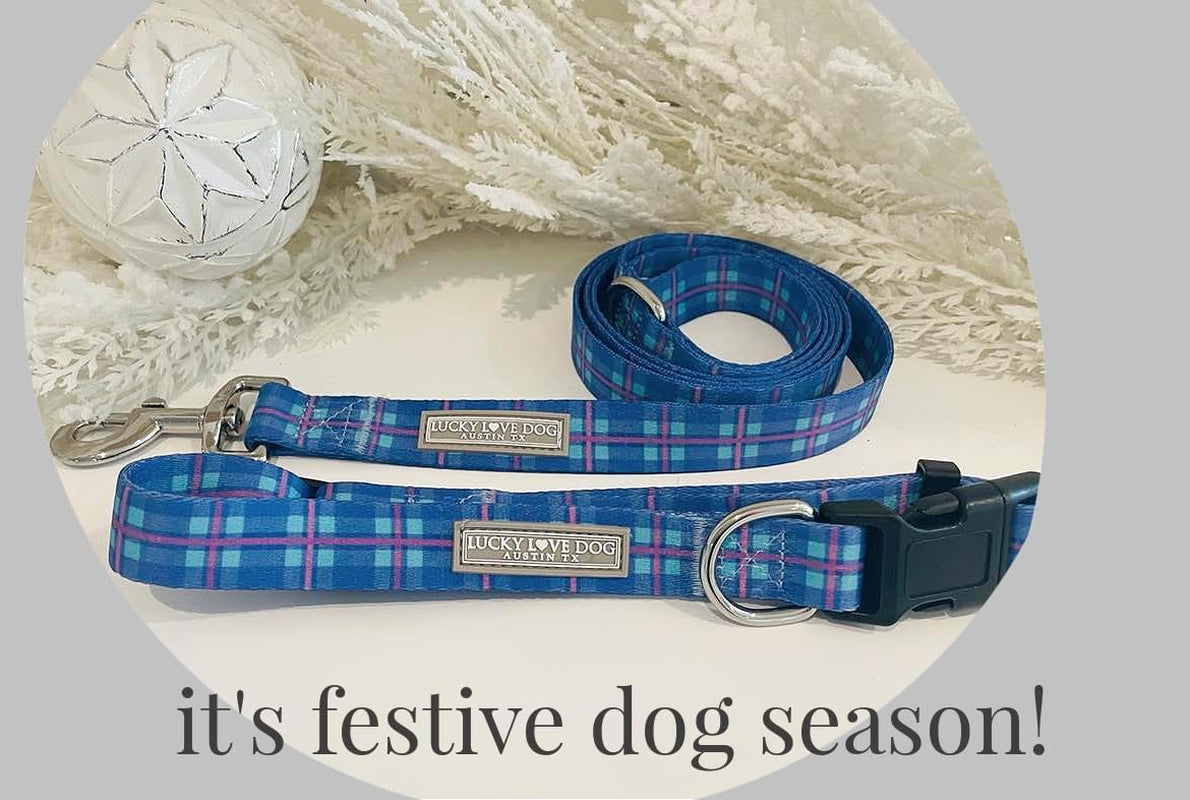 - Adjustable Dog Collar with Easy Click Buckle for Small to Large Dogs, Durable, & Comfortable for Male & Female Dogs, Pet Collar for Puppies & Adult Ones - Scotty, Large