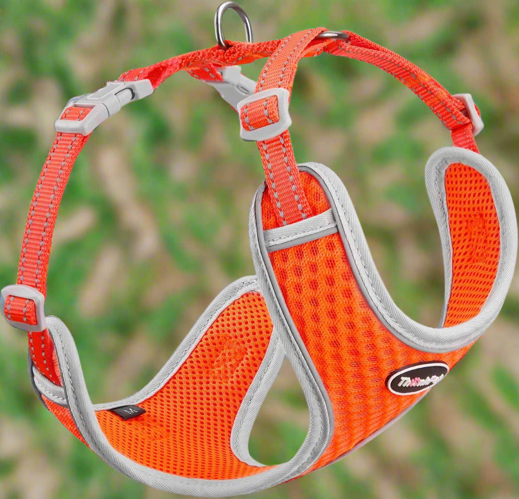 Reflective Breathable Soft Air Mesh No Pull Puppy Choke Free over Head Vest Harness for Puppy Small Medium Dogs and Cats Orange Medium