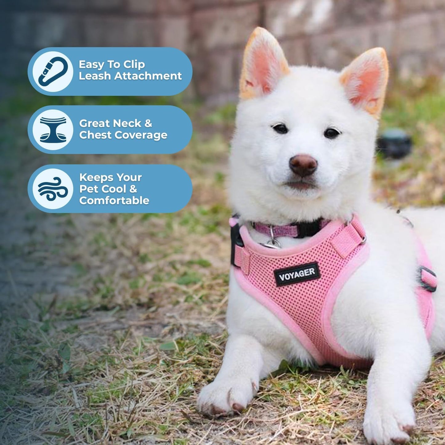 Voyager Step-In Lock Pet Harness - All Weather Mesh, Adjustable Step in Harness for Cats and Dogs by - Pink, M