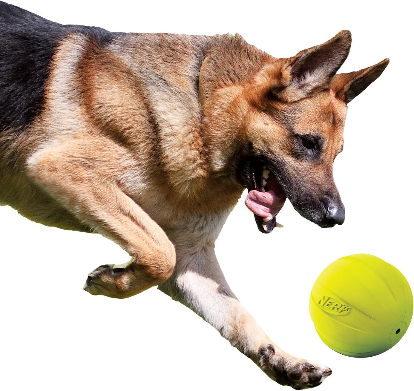 Rubber Ball Dog Toy with Squeaker, Lightweight, Durable and Water Resistant, 4 Inch Diameter for Medium/Large Breeds, Single Unit, Green