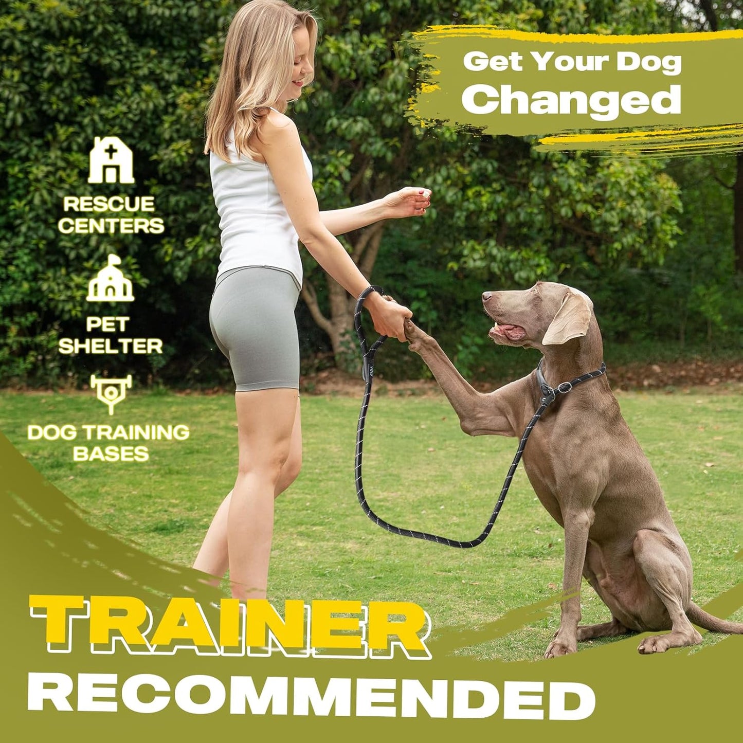 Durable Slip Lead Dog Leash, 6 FT X 1/2" Heavy Duty Dog Loop Leashes, Comfortable Strong Rope Slip Leash for Large Medium Dogs, No Pull Pet Training Lead with Highly Reflective(1/2", Black)
