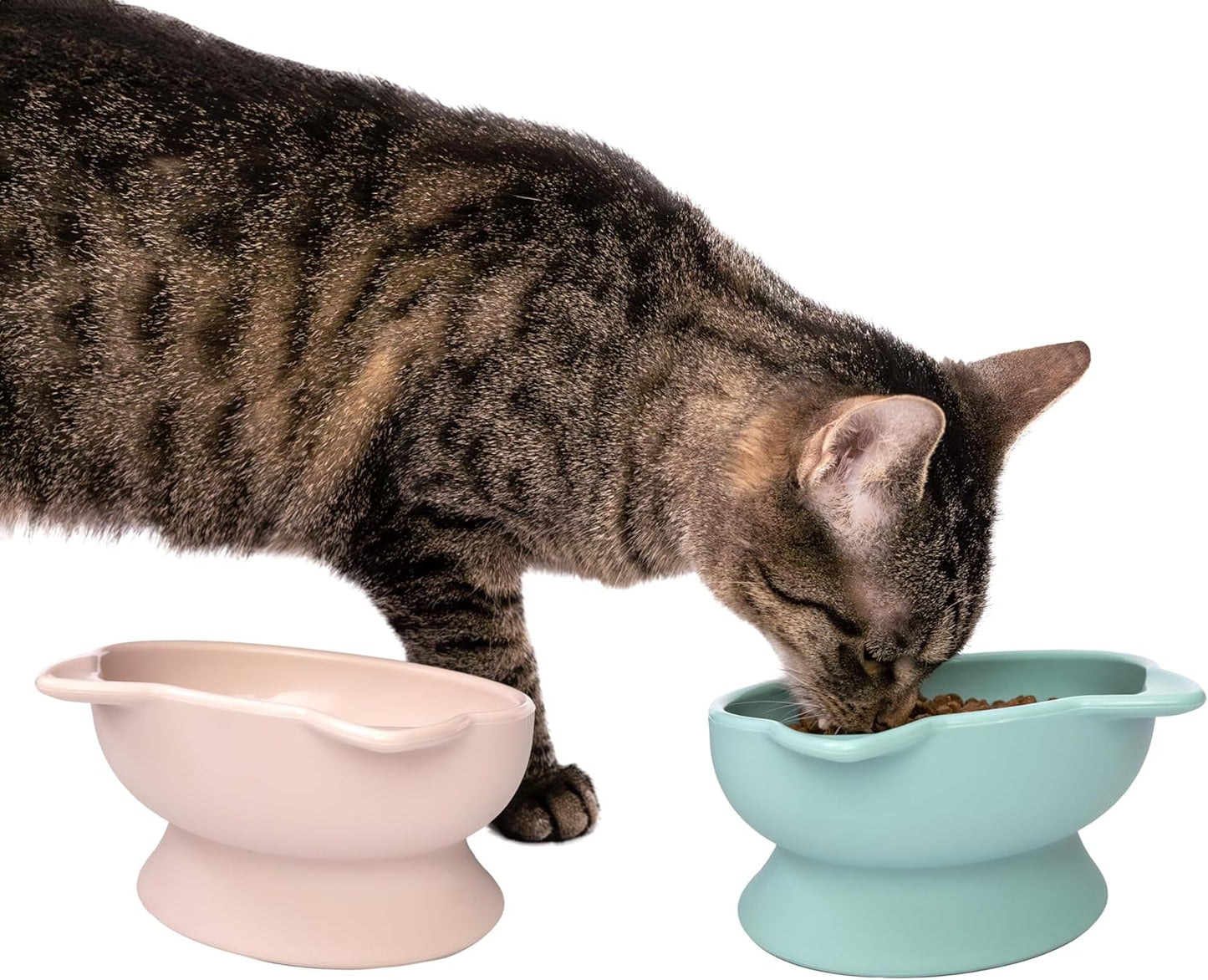 Raised Cat Ear Bowls, Small Bowls 2Pk (Pastel)