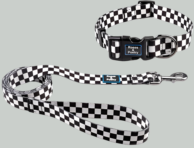 Dog Collar and Leash