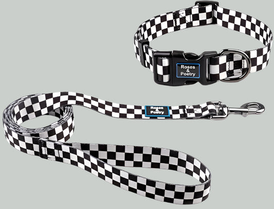 Dog Collar and Leash