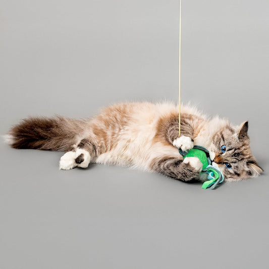 Ocean Collection Cat Toy | Turtle Teaser for Indoor Cats | Cute Interactive Plush Toys for Swatting and Playing| Eco-Friendly & 100% Recycled Materials