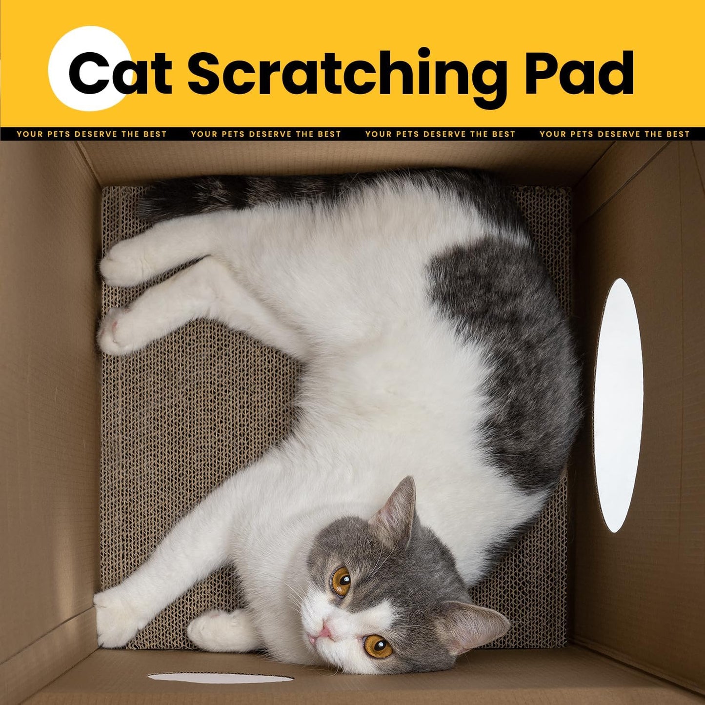 Cardboard Cat House with Scratch Pad & Catnip, Cat Play Scratching House for Indoor Hideaway Furniture, Heavy Duty Sturdy Cardboard Scratcher, Easy to Assemble Birthday Gift