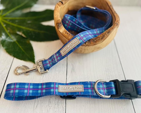 - Adjustable Dog Collar with Easy Click Buckle for Small to Large Dogs, Durable, & Comfortable for Male & Female Dogs, Pet Collar for Puppies & Adult Ones - Scotty, Large
